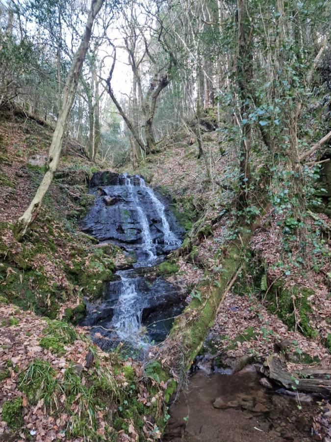Shadowvale E34X773 Bed & Breakfast Tipperary Eksteriør bilde
